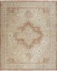 Nourison Essentials Persian NRE07 Beige Rust Area Rug
