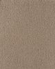 Serene Mirage Textured Kashmere Nylon 50oz Carpet