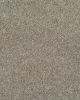 Fabric Of Life II Textured 32oz Carpet