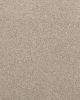 Willow Creek Textured SmartStrand 40oz Carpet