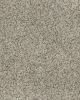 Natural Restoration Textured 60oz Carpet