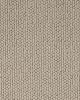 Forever Textured SmartStrand 48oz Carpet