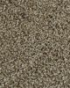 Posh Beauty Textured SmartStrand Carpet