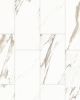 Prati Calacatta Borghini Warm Honed Glazed Porcelain 12