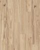 Chapman Hill Appaloosa Hickory Hickory 7