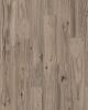 Chapman Hill Palomino Hickory Hickory 7