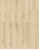 Saylor's Cove Ecru Oak Oak 7