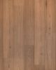 Landry Valley Hazelnut Hickory Hickory 8