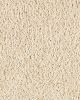 Pure Distinction II Textured SmartStrand Carpet