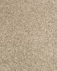Purrsonality III Pet Friendly 75oz Carpet