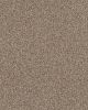 Refined Chic Textured 45oz Carpet