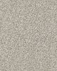 Ridgeway Walk Textured Nylon Carpet