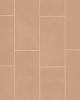 Sahara Cotto Matte Glazed Porcelain 12