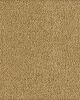 Soft Excellence Textured SmartStrand Carpet