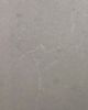 Steamboat Quartz Countertop