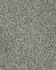 Superior Selection Textured SmartStrand Carpet