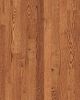 Lineage Red Oak 3
