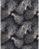 Seabreeze SZ3 Black Area Rug