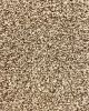 Tonal 42 Solitude Polyester 42oz Carpet