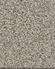 Tonal Comfort I Textured 43oz Nylon Carpet