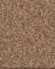 Tonal Comfort II Textured 53oz Nylon Carpet