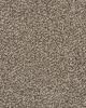 Value 42 Sandy Shore Textured Everstrand 42oz Carpet