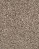 Value 42 Shoreline Textured Everstrand 42oz Carpet