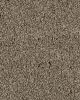 Value 60 Tuscan Tan Textured Everstrand 57oz Carpet