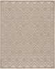 Versatile NRV01 Natural Beige Area Rug