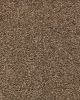Vivid Awakening Textured SmartStrand Carpet