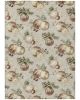 Wonderland WN36 Beige Area Rug