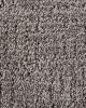 Wonder Weave Truffle Everstrand Carpet