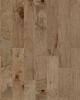 Mendocino Gold Dust Maple 6