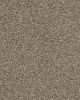 Poised Textured Endura Nylon 25oz Carpet
