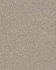 Truspirit II Textured 100% Polyester 58oz Carpet