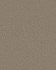 Artistic Fusion I Pet Friendly 43oz Carpet