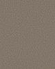 Artistic Fusion II Pet Friendly Carpet