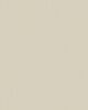 Smooth Tone 58oz Textured Pet Friendly Carpet