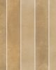 Celine Cotto Glazed Porcelain Tile 2.5