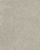 Diffurent Choice III 58oz Pet Friendly Carpet