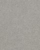 Always Ready II Textured 100% Nylon 39oz Carpet