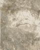 Evolution 960a Beige/Grey Area Rug