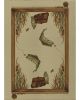 Excursion EX5 Beige Area Rug