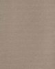 Enduring Statement SmartStrand 36oz Carpet