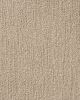 True North Patterned Nylon Blend Carpet