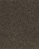 Gentle Quality Kashmere Nylon Carpet
