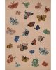 Highgrove HIG-01 Blush Area Rug