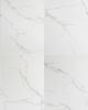 Iconic Wall Solutions Olympus PVC Tile