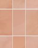 Mural Flamant 6x6 Glossy Tile