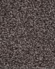 Oracle Textured Nylon Carpet